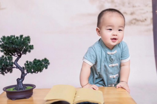 莱阳可爱的企鹅宝宝